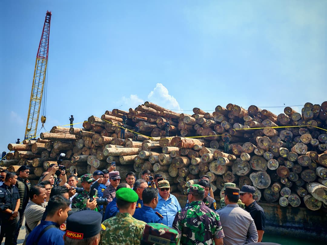 BPKP-dan-Satgas-PKH-Ungkap-Pembalakan-Liar-di-Mentawai,-Negara-Rugi-Rp240-Miliar